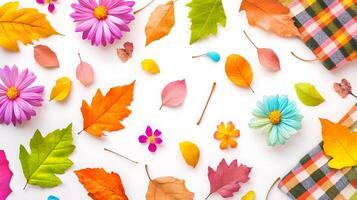 Colorful Autumn Leaves and Flowers on White Background photo