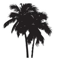 Palm Tree Silhouette on White Background vector
