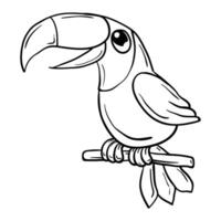 toucan bird coloring page vector