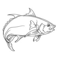 a fish coloring page with a black and white drawing vector