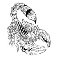 scorpion coloring pages for adults vector