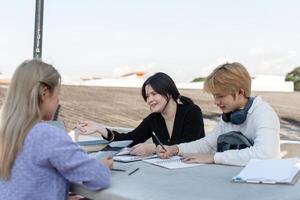 Diverse Group of Students Engaged in Online Learning Outdoors with Laptops and Notebooks photo