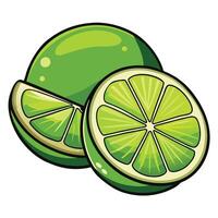 Natural fresh lime with sliced and water droplets isolated on white background. vector