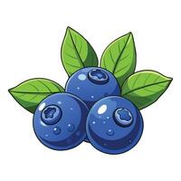 Top view blueberries and sparkling water vector