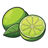 Top view limes on table big limes next to branches vector