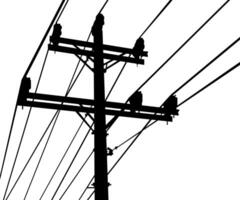 power lines on a white background vector