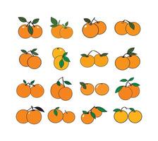 Set of 16 orange fruit illustrations. Perfect for adding a fresh, citrusy touch to your designs. Various styles included. vector
