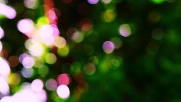 Natural bokeh light creating a blurred effect with multiple circles of various sizes forming an abstract multidimensional pattern in beautiful colors against a green background video