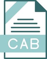 CAB Format Glyph Two Color Style Icon vector