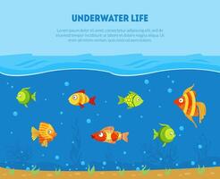 Underwater Life Banner Template with Space for Text and Colorful Tropical Fishes Illustration vector