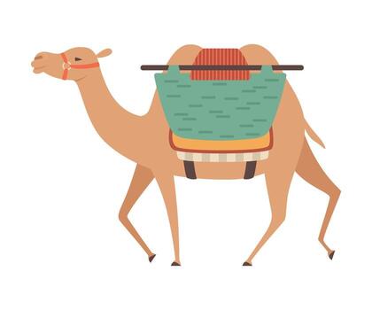 Camel with Bridle and Saddle, Two Humped Desert Animal with Load, Side View Illustration vector