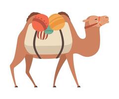 Camel, Two Humped Desert Animal with Load, Side View Illustration vector