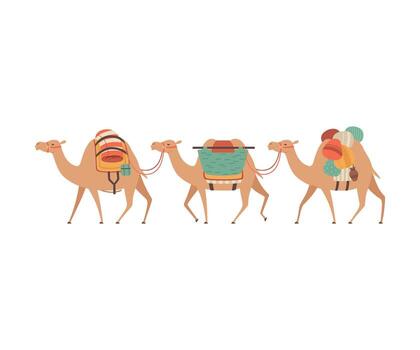Caravan of Camels, Desert Animals Walking with Heavy Load, Side View Illustration vector