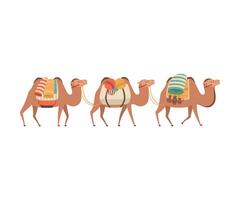 Caravan of Camels, Desert Animals Carrying Heavy Load, Side View Illustration vector