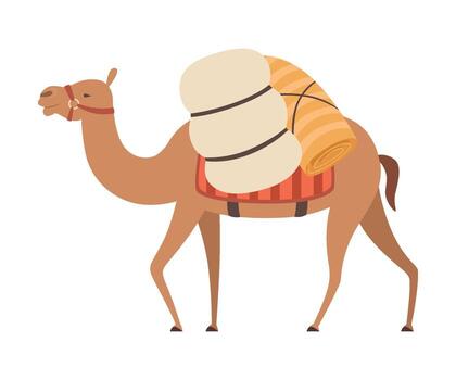 Camel Desert Animal Walking with Heavy Load, Side View Illustration vector