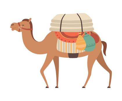 Camel with Bridle and Saddle, Desert Animal Walking with Load, Side View Illustration vector
