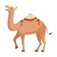 Dromedary, One Humped Camel with Bridle and Saddle Decorated with Ethnic Ornament Illustration vector