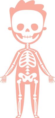 Stylized x ray illustration of a child's skeleton, highlighting bones and skull against a pink silhouette, perfect for educational and medical contexts in anatomy and health