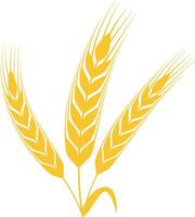 Three stylized ears of wheat growing together against a white background, symbolizing agriculture, farming, and the essential production of food in a simple, minimalistic design vector