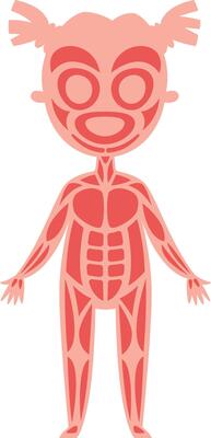 Simple and cute cartoon style illustration representing muscular system of a girl, useful for children's education or medical publications explaining human anatomy