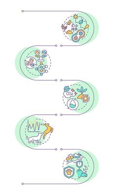 Ecological balance infographic vertical sequence. Food chain. Predator and prey relationships. Visualization infochart with 5 steps. Circles workflow