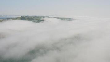 Aerial view of the Krabbe Peninsula in summer video