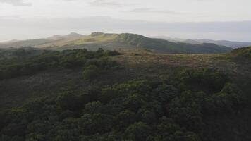 Drone view of a beautiful tropical valley between the mountains video