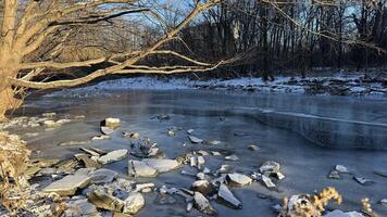 Winter river and trees. snow. Sunny winter day. Frozen river photo