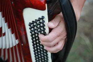 Fingers Moving Fast On The Buttons Of The Accordion photo