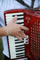Technique And Ability Of A Professional Accordion Player photo