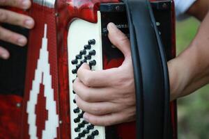 Fingers Moving Fast On The Buttons Of The Accordion photo
