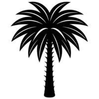 Palm Tree Doodle Palm Tree vector