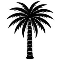 Coconut tree drawing Palm Tree vector