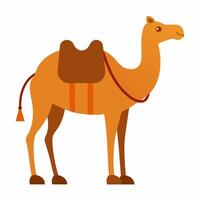 Beautiful desert camel with bridle illustration for creative projects. vector