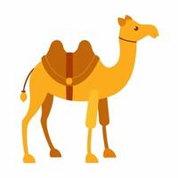 Detailed camel illustration with bridle for desert adventure projects. vector