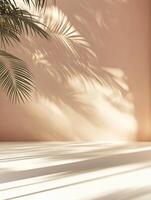 Palm leaves casting shadows on minimalist pink wall photo