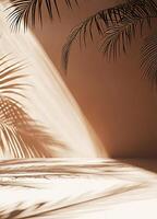 Palm leaves casting shadows photo