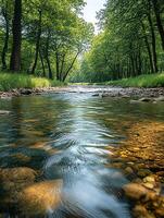 River flowing through colorful autumn forest landscape photo
