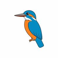 Kingfisher bird illustration with intricate details and realism vector