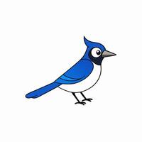 Vibrant blue jay bird illustration perfect for creative projects vector