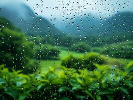 Raindrops sliding on glass with leaves background on rainy day photo