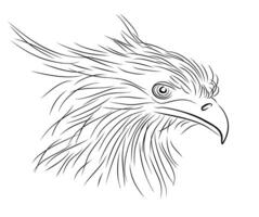 Sketch of the head of a bird of prey. vector