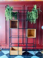 A rectangular wooden shelf with plants in front of a yellow building facade photo