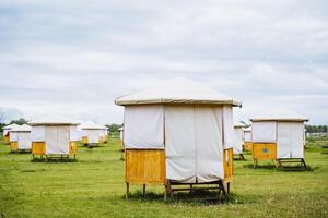 In a rural setting, community structures stand in an open grass field. There are temporary wooden and canvas shelters under a cloudy sky, creating a serene and picturesque scene photo