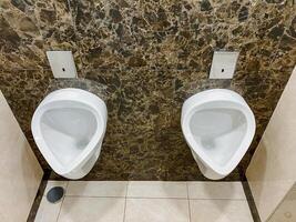Brown bathroom with two urinals and plumbing fixtures made of composite material in a rectangular shape. photo