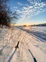 A person skiing across a snowy winter landscape with clouds, trees, water, and freezing temperatures. photo