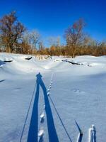 A distinct shadow of an individual gracefully skiing amidst the snowcovered terrain, creating a picturesque winter scene filled with blue hues and freezing conditions on the slope photo