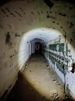 In a dark, seemingly endless tunnel, focus intently and look for a bright light in the far distancea glimmer of hope shining through the suffocating, oppressive shadows that surround you photo