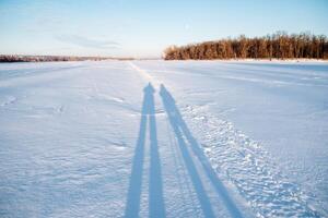 A persons shadow falls on the calm, freezing snowy field under the azure sky photo