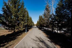 A picturesque road flanked by trees under a clear blue sky photo